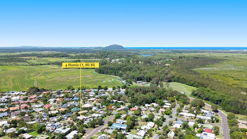 Photo - 4 Hamia Court, Bli Bli QLD 4560 - Image 13