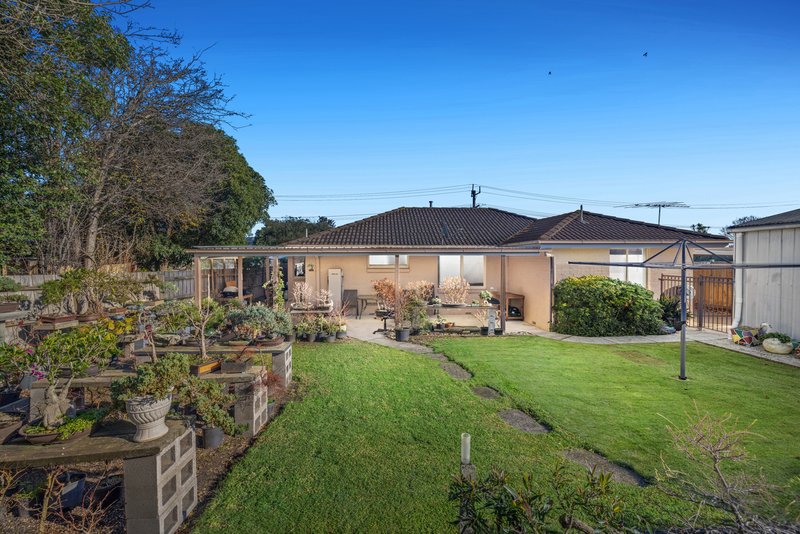 Photo - 4 Harrison Drive, Cranbourne VIC 3977 - Image 12