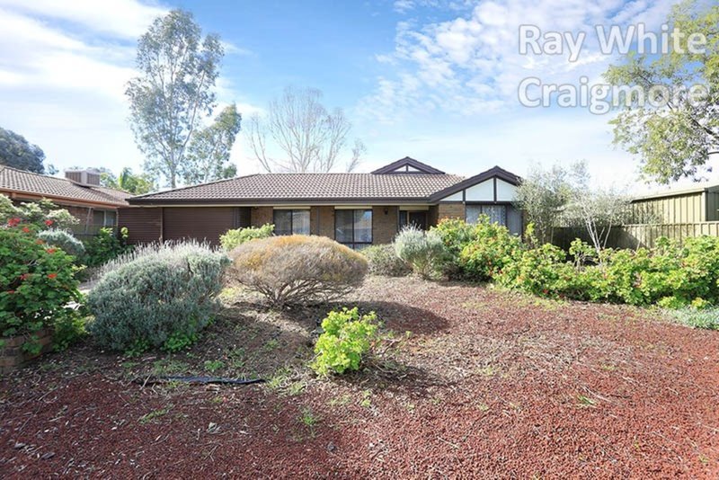 4 Harvest Court, Andrews Farm SA 5114