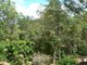 Photo - 4 Hensley Lane, Cooran QLD 4569 - Image 10