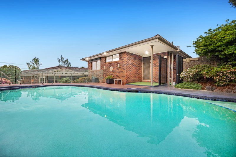 Photo - 4 Heysham Drive, Wheelers Hill VIC 3150 - Image 19