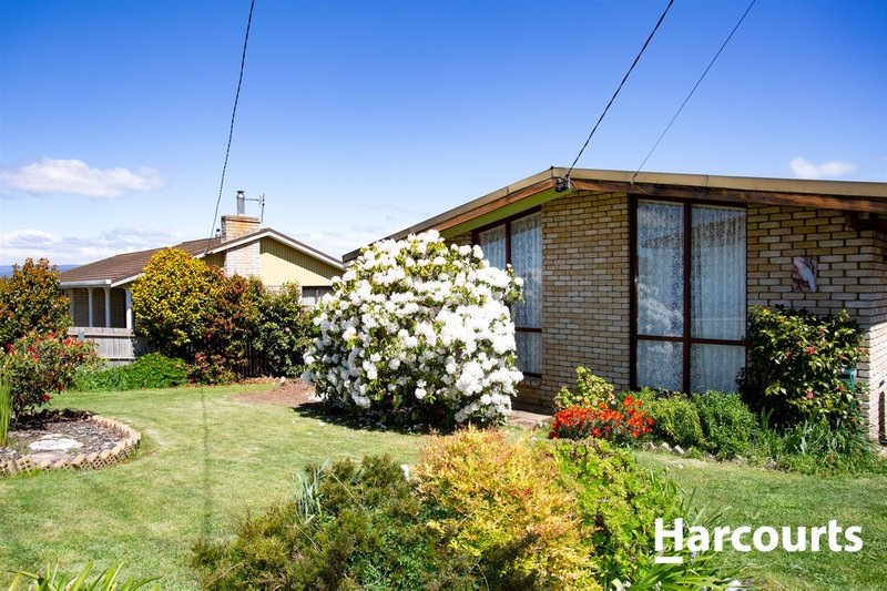 Photo - 4 High Street, Deloraine TAS 7304 - Image 3