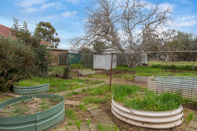 Photo - 4 Hospice Road, Hamley Bridge SA 5401 - Image 17