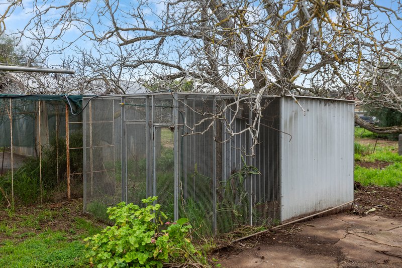 Photo - 4 Hospice Road, Hamley Bridge SA 5401 - Image 19