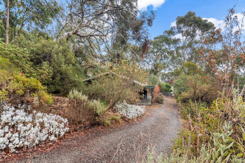 Photo - 4 Kerry Street, Coromandel Valley SA 5051 - Image 7