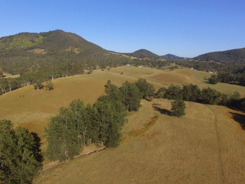 Photo - 4 Knodingbul Forest Road, Mount George NSW 2424 - Image 1