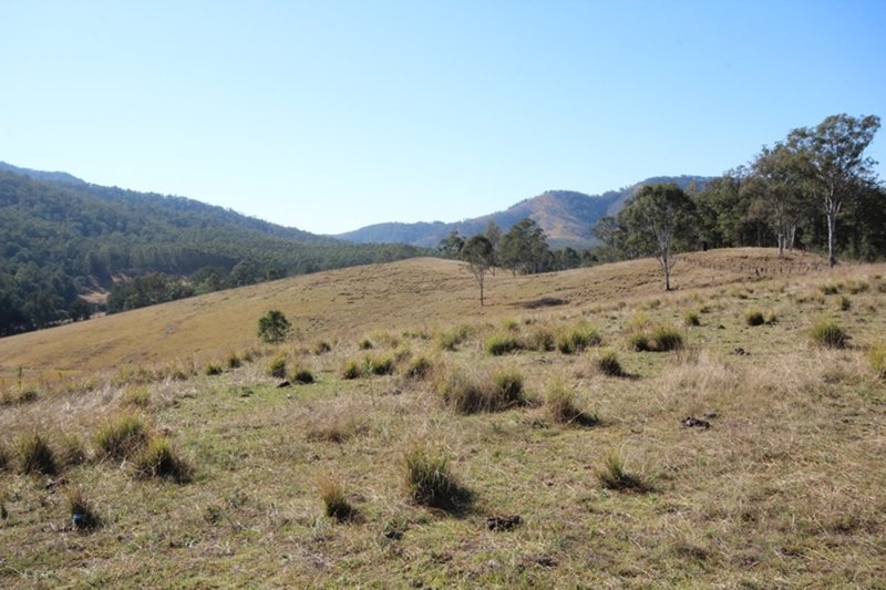 Photo - 4 Knodingbul Forest Road, Mount George NSW 2424 - Image 15