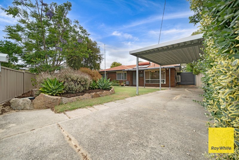 Photo - 4 Lecky Court, Girrawheen WA 6064 - Image 26