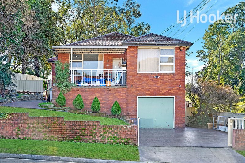 4 Links Avenue, Cabramatta NSW 2166