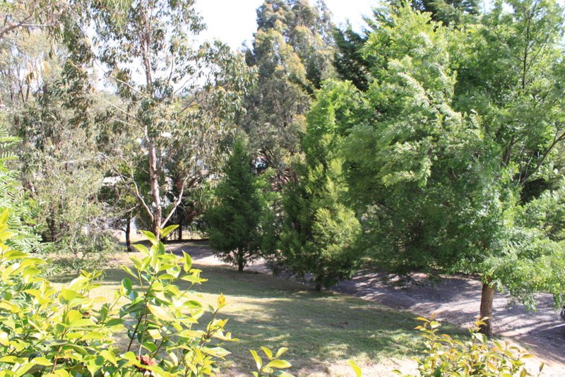 Photo - 4 Lyne Street, Tumbarumba NSW 2653 - Image 8