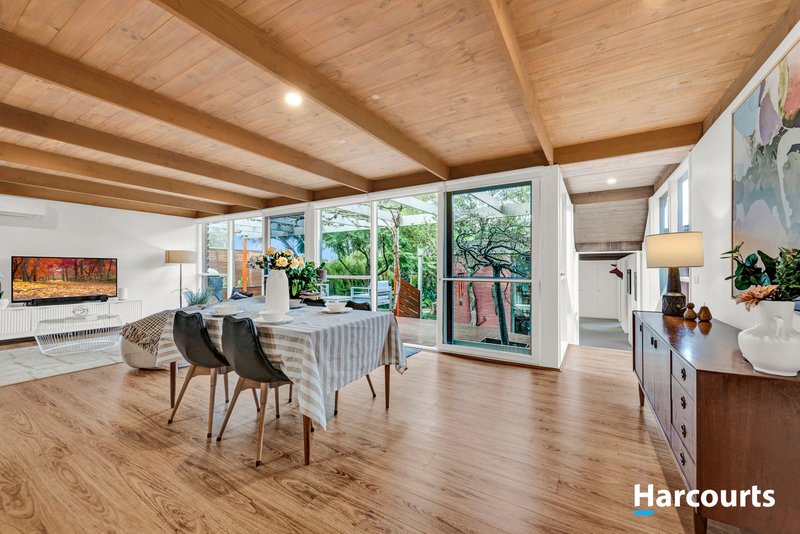 Photo - 4 Maculata Walk, Vermont South VIC 3133 - Image 6