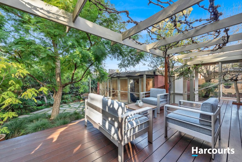 Photo - 4 Maculata Walk, Vermont South VIC 3133 - Image 19