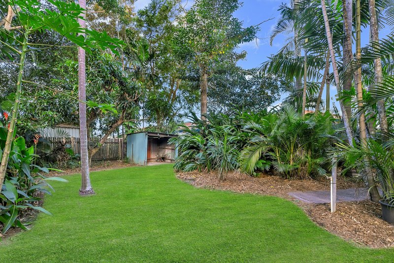 Photo - 4 Marsh Street, Earlville QLD 4870 - Image 12