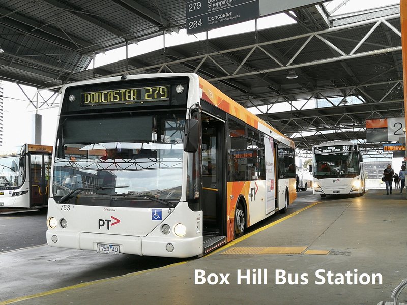 Photo - 4 Mcgowans Lane, Burwood VIC 3125 - Image 22