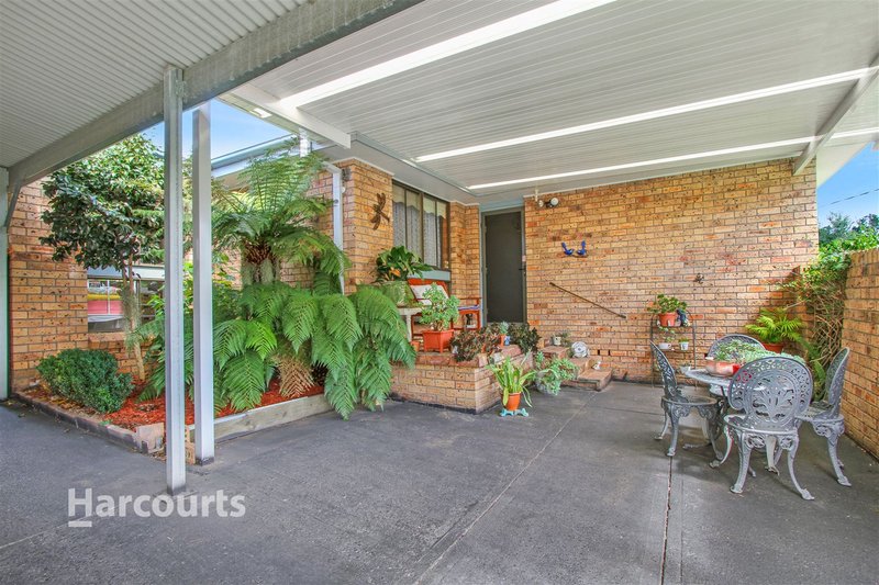 Photo - 4 Melaleuca Avenue, Avondale NSW 2530 - Image 7