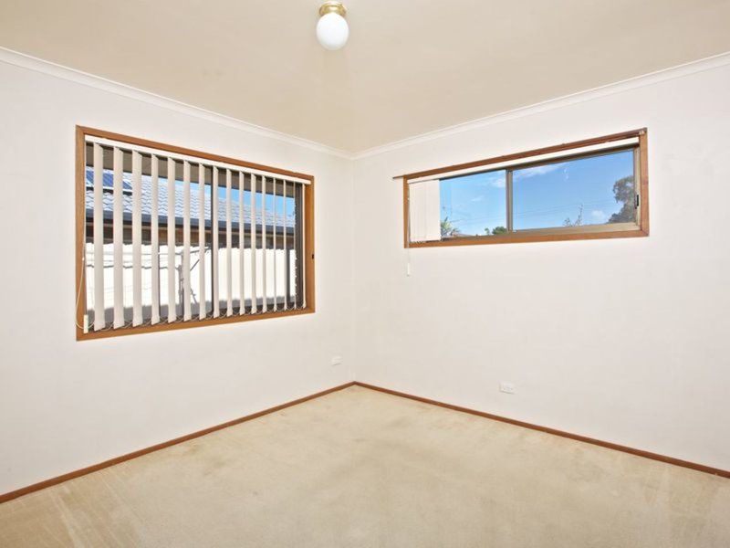 Photo - 4 Menindee Avenue, Coombabah QLD 4216 - Image 6