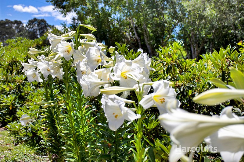 Photo - 4 Metaira Road, Ridgley TAS 7321 - Image 9