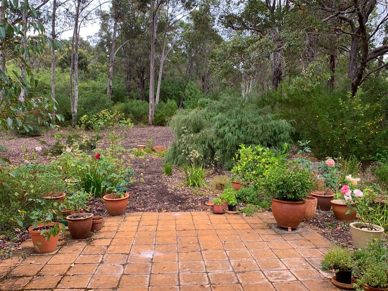 Photo - 4 Mill Place, Denmark WA 6333 - Image 2