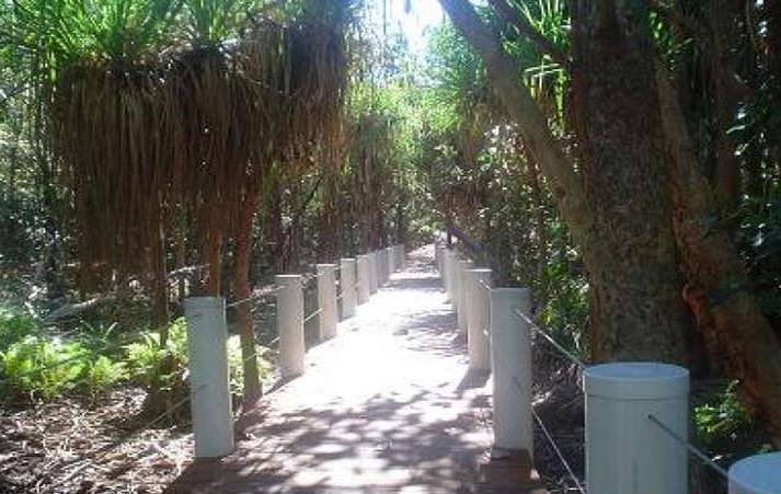 Photo - 4 Mistletoe Street, Forrest Beach QLD 4850 - Image 4