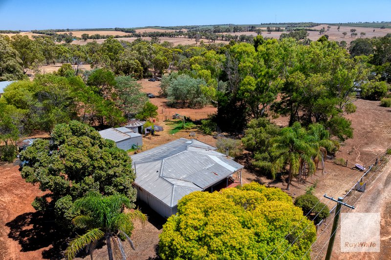 Photo - 4 Moir Street, Frankland River WA 6396 - Image 14