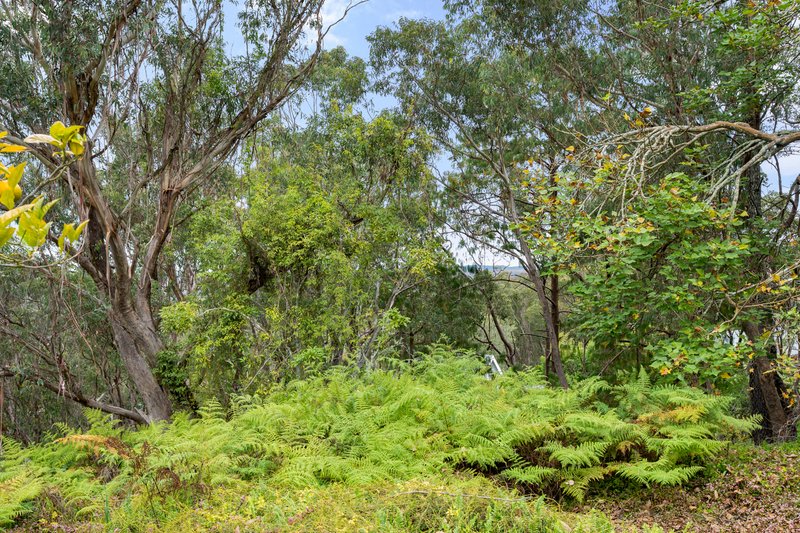 Photo - 4 Mona Road, Woodford NSW 2778 - Image 21