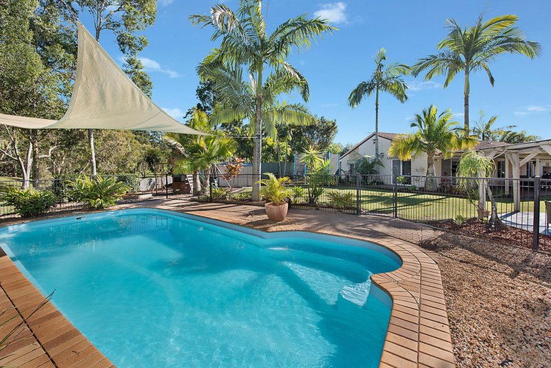 4 Murray Pine Court, Buderim QLD 4556