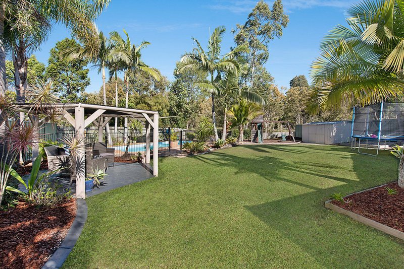 Photo - 4 Murray Pine Court, Buderim QLD 4556 - Image 2