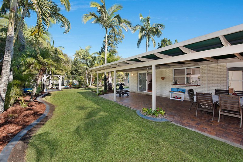 Photo - 4 Murray Pine Court, Buderim QLD 4556 - Image 3