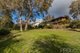 Photo - 4 Orana Crescent, Tumut NSW 2720 - Image 14