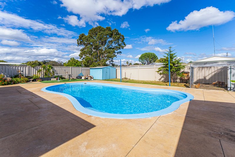 Photo - 4 Osmunda Place, Pinjarra WA 6208 - Image 24
