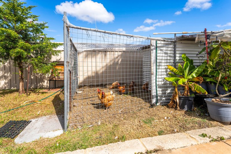 Photo - 4 Osmunda Place, Pinjarra WA 6208 - Image 28