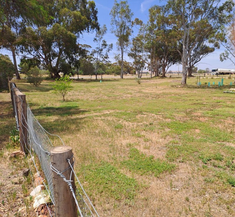 Photo - 4 Price Street, Caltowie SA 5490 - Image 22