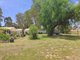 Photo - 4 Price Street, Caltowie SA 5490 - Image 26