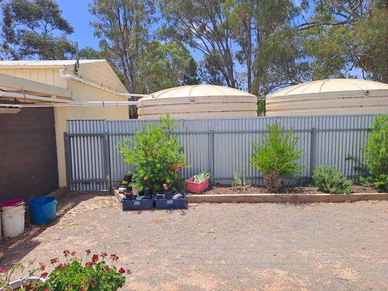 Photo - 4 Price Street, Caltowie SA 5490 - Image 29