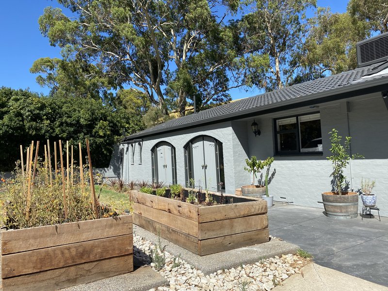Photo - 4 Protea Court, Banksia Park SA 5091 - Image 3