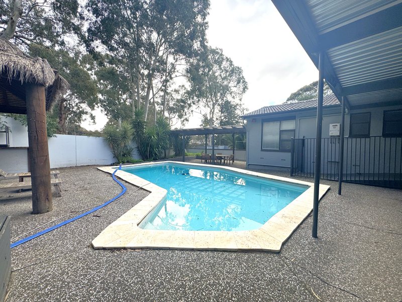 Photo - 4 Protea Court, Banksia Park SA 5091 - Image 26