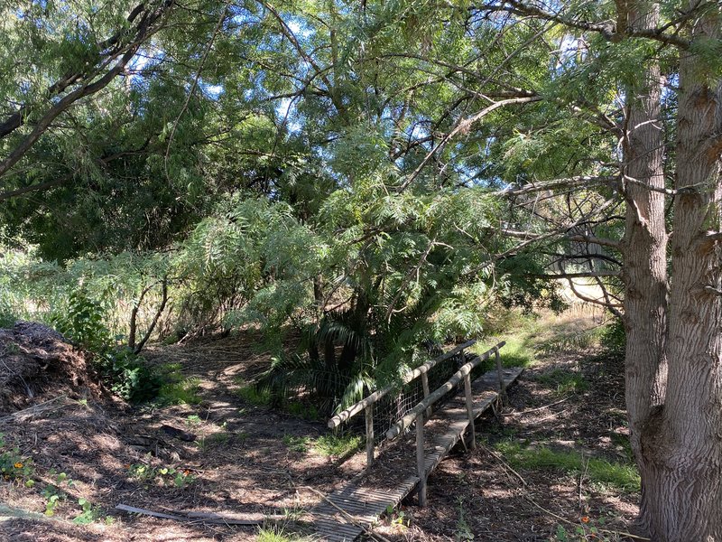 Photo - 4 Protea Court, Banksia Park SA 5091 - Image 29