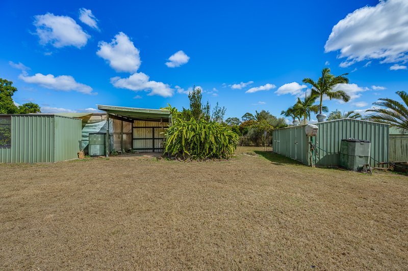 Photo - 4 Protea Court, Benaraby QLD 4680 - Image 22