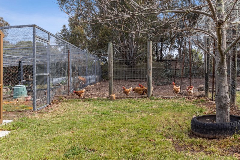 Photo - 4 Santa Gertrudis Place, Murrumbateman NSW 2582 - Image 22