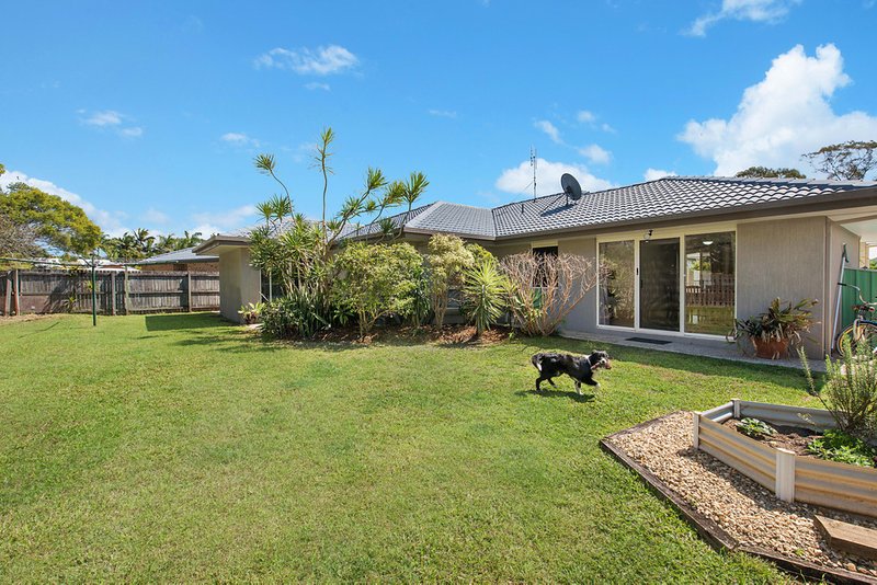 Photo - 4 Satinwood Place, Mountain Creek QLD 4557 - Image 13