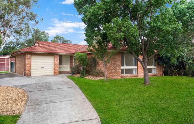 4 Scully Place, Mount Annan NSW 2567 Real Estate Industry Partners