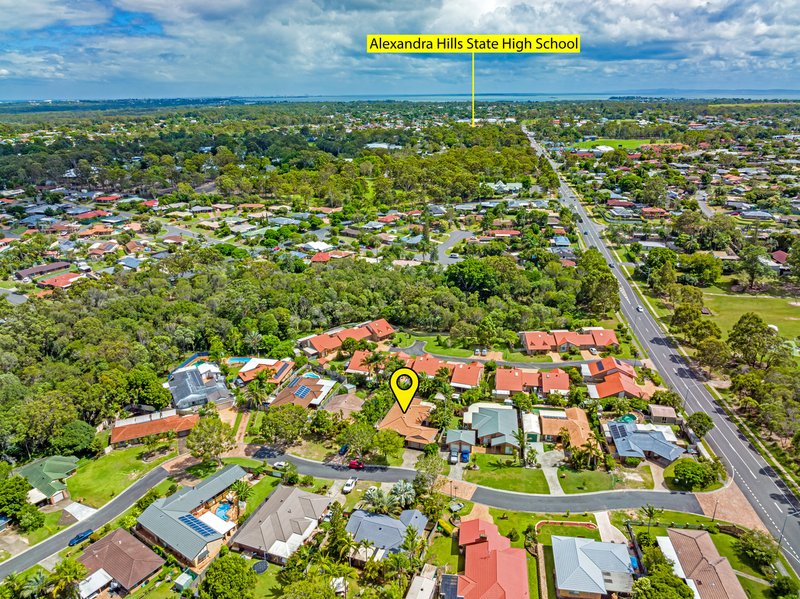 Photo - 4 Sophia Place, Alexandra Hills QLD 4161 - Image 20