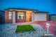 Photo - 4 Springleaf Road, Tarneit VIC 3029 - Image 3