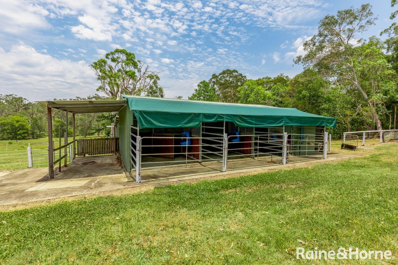 Photo - 4 Sunset Way, Cooroibah QLD 4565 - Image 20