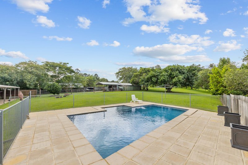 Photo - 4 Swift Drive, Cooroy QLD 4563 - Image 5