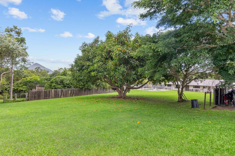 Photo - 4 Swift Drive, Cooroy QLD 4563 - Image 6