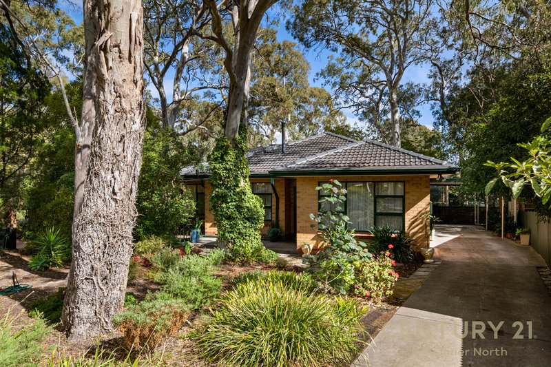 4 Tatiara Drive, Banksia Park SA 5091