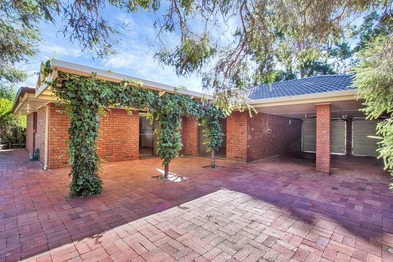 Photo - 4 Tatiara Road, Happy Valley SA 5159 - Image 12