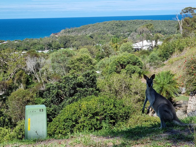 Photo - 4 The Crescent, Agnes Water QLD 4677 - Image 11