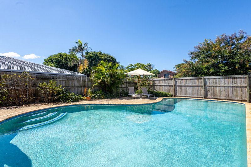 Photo - 4 Tralee Street, Bracken Ridge QLD 4017 - Image 6